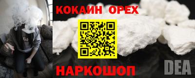 спиды Новозыбков