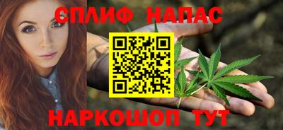 ECSTASY Новодвинск