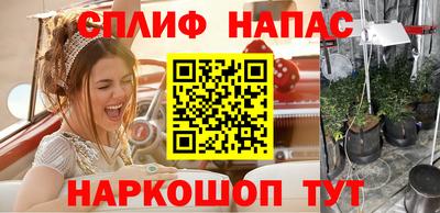 ECSTASY Новодвинск