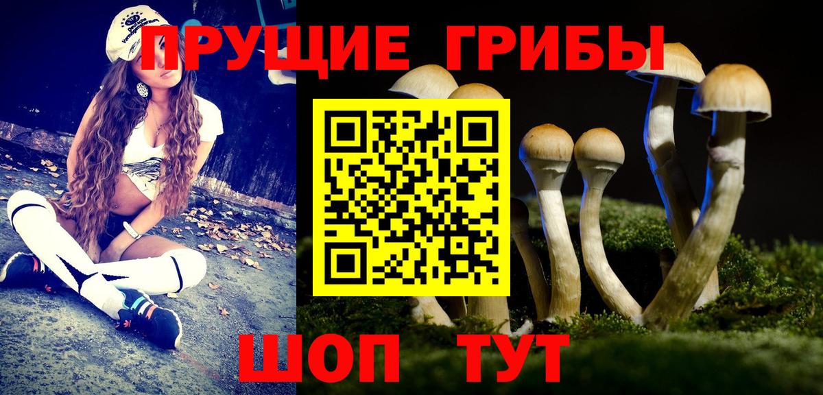 Галлюциногенные грибы мухоморы Славгород