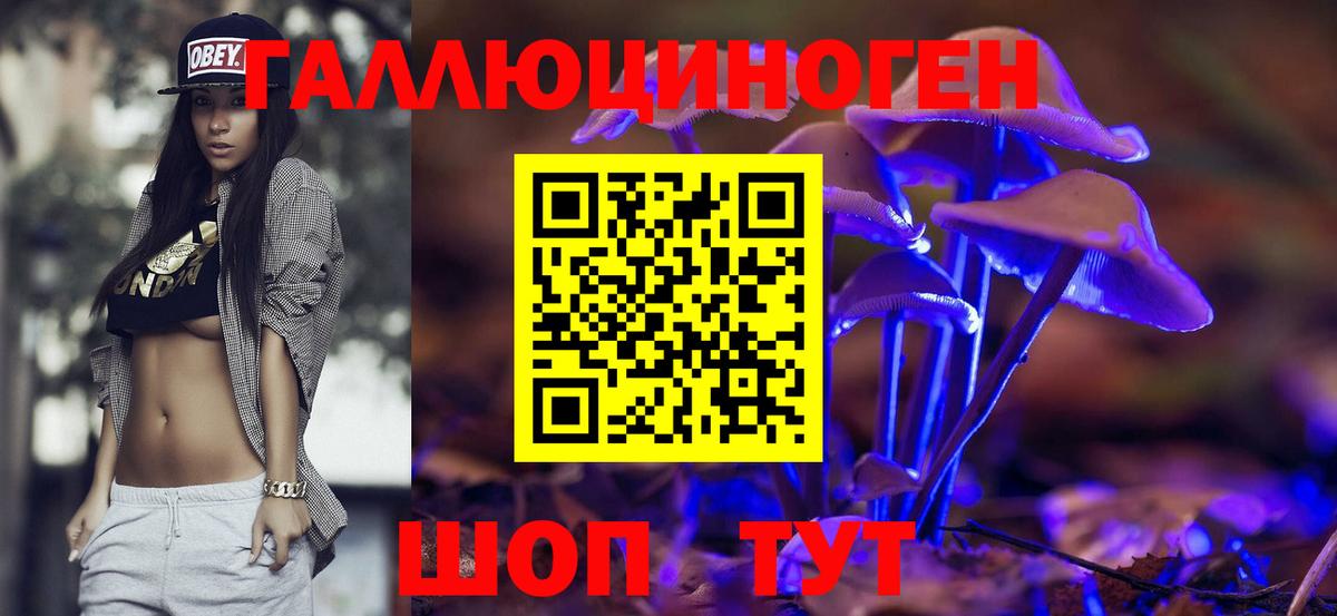 Славгород  где можно купить наркотик  Вход с VPN  Псилоцибиновые грибы Magic Shrooms 